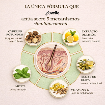 Aceite de cyperus rotundus - Reduce el crecimiento del vello desde la raíz